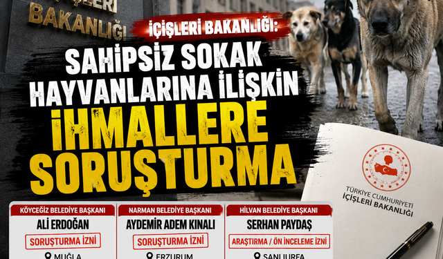 İçişleri'nden 3 belediye başkanı hakkında sokak hayvanları soruşturması