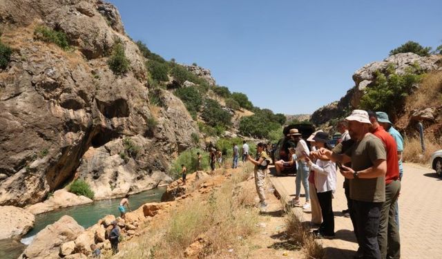 Kokartlı Rehberler Diyarbakır’ın "Kral Yolu"nu Adımladı