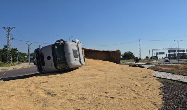 Tır Kavşakta Yan Yattı: 17 Ton Arpa Yola Saçıldı
