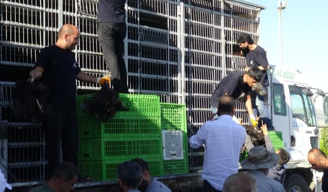 Üreticilere Kanatlı Hayvan ve Ekipman Dağıtımı Gerçekleştirildi