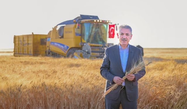 Vali Akkoyun Açıkladı: Mardin'de Bu Yıl Buğday Rekoltesi Beklentisi 709 Bin Ton