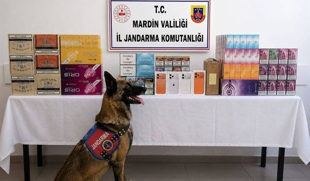 Jandarmadan Kaçakçılık Operasyonu: 2 Gözaltı