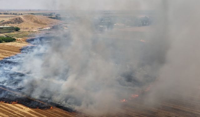 Anızı Yakmadılar; Mısır, Soya ve Susamı Doğrudan Ektiler