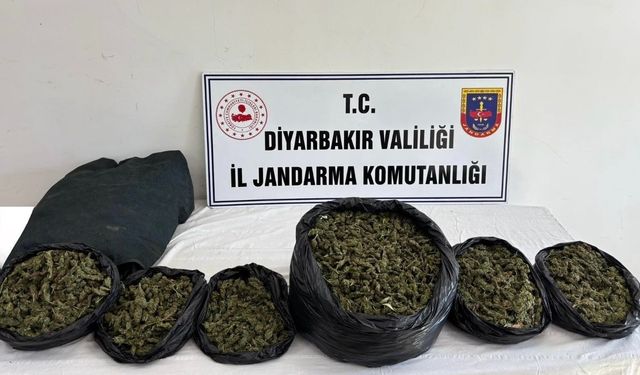 Diyarbakır’da Jandarmadan Uyuşturucu Operasyonları: 41 Kilo Esrar Ele Geçirildi