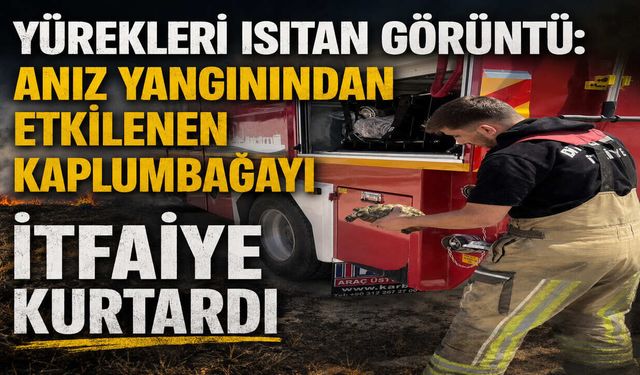 Yürekleri Isıtan Görüntü: Anız Yangınından Etkilenen Kaplumbağayı İtfaiye Kurtardı