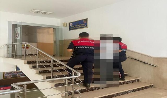 Jandarma Ekipleri Hırsızlık Suçundan Aranan Şahıs Yakaladı