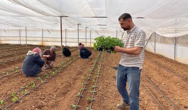 Su Geldi, Göç Bitti: Artık Kendi Topraklarının Patronu Oldular!