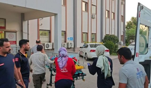 Kontrolden Çıkan Kamyonet Devrildi: 6 Kişi Yaralandı