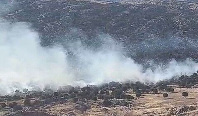 Adıyaman’da ormanlık alanda yangın