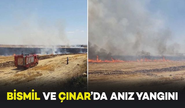 Bismil ve Çınar'da Çıkan Anız Yangınlarına Müdahale