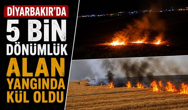 Diyarbakır'da 5 Bin Dönümlük Alan Yangında Kül oldu