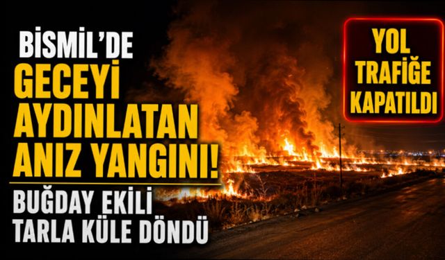 Bismil’de Geceyi Aydınlatan Anız Yangını! Buğday Ekili Tarla Küle Döndü