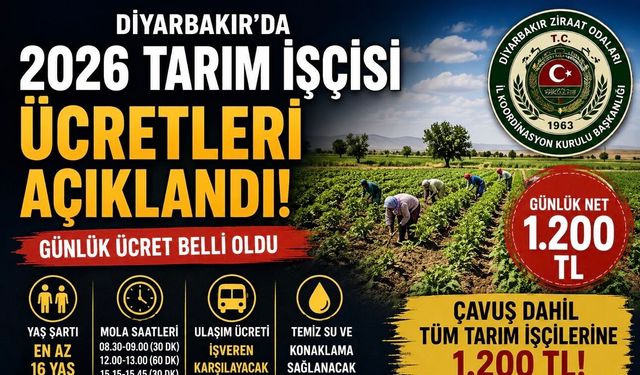 Diyarbakır'da 2026 Tarım İşçisi Ücretleri Belli Oldu: Günlük Yevmiye 1.200 TL