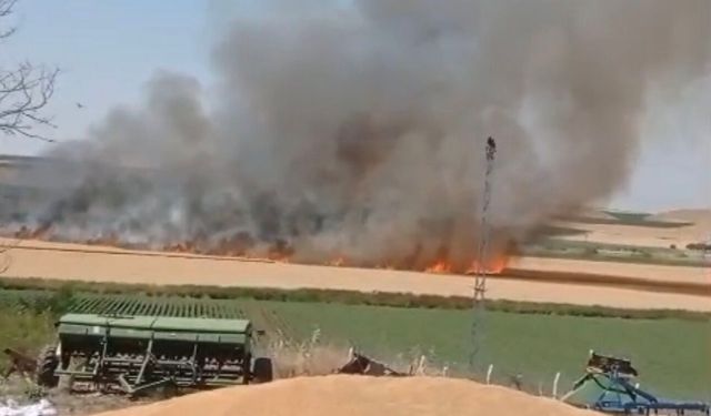 Bismil'de Buğday Tarlasında Yangın: 70 Dönüm Ekin Kül Oldu