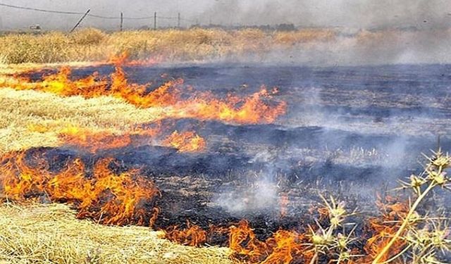 Anız yakan 303 kişiye 21 milyon lirayı aşan ceza: Diyarbakır’da da yasak sürüyor