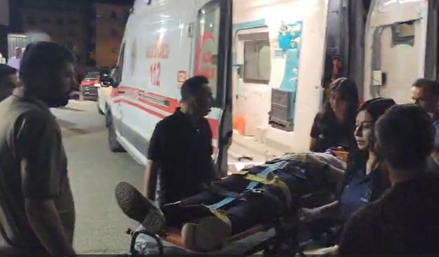 Belediye Eş Başkanına Araç Çarptı: Sağlık Durumu İyi