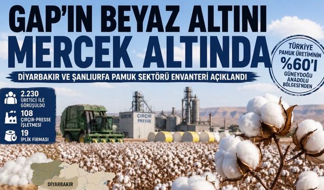 GAP’ın Beyaz Altını Mercek Altında: Diyarbakır ve Şanlıurfa Pamuk Sektörü Envanteri Açıklandı