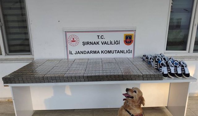 Jandarma Ekiplerinden Bir Haftalık Bilanço: 47 Şüpheli Yakalandı