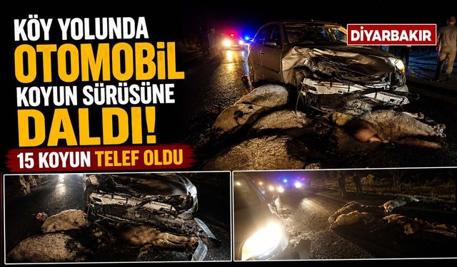 Köy Yolunda Otomobil Koyun Sürüsüne Daldı: 15 Koyun Telef Oldu