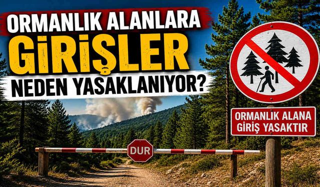 Ormanlık Alanlara Girişler Neden Yasaklanıyor?