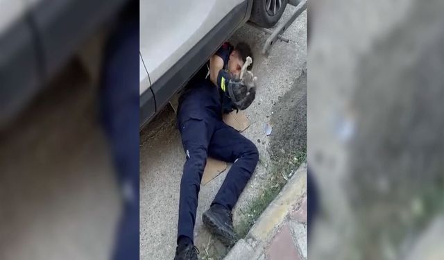 Otomobilin Motoruna Giren Minik Kediyi İtfaiye Ekipleri Kurtardı