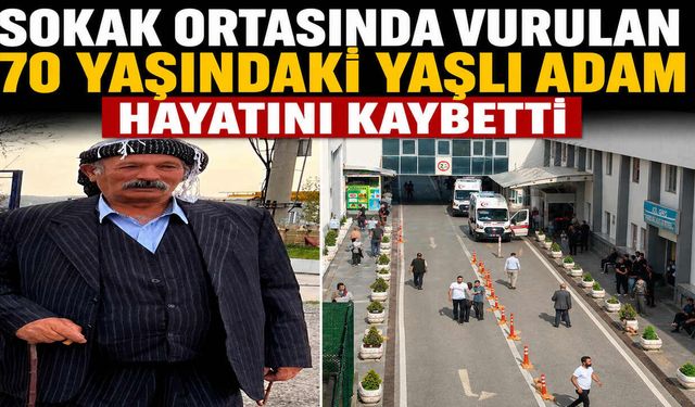 Sokak Ortasında Vurulan 70 Yaşındaki Yaşlı Adam Hayatını Kaybetti