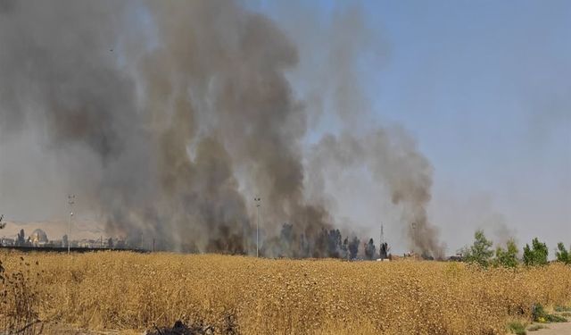 Suriye'de Başlayan Anız Yangını Türkiye'ye Sıçradı: Ekiplerin Müdahalesiyle Söndürüldü