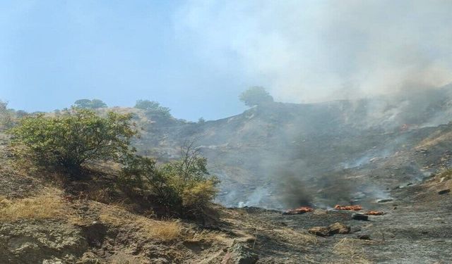 Çöplükte Çıkan Yangın Ormana Sıçradı: Ekipler Seferber Oldu