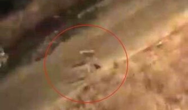 Baykan’da başıboş köpeklerin kediye saldırısı kamerada