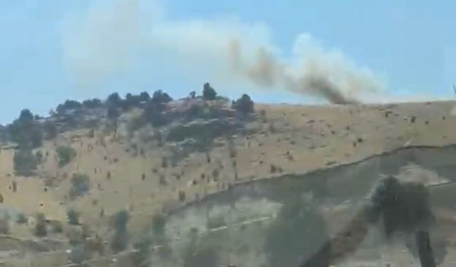 Patlatmanın ardından ormanlık alan alevlere teslim oldu