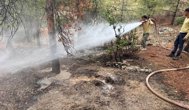 Kilis’te yıldırım sonrası ormanlık alanda yangın