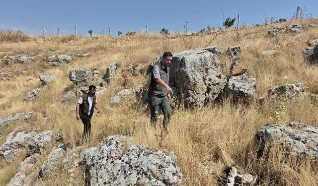 Doğal Yaşamı Bozanlara 5 Milyon TL’ye Kadar Ceza Uygulanacak