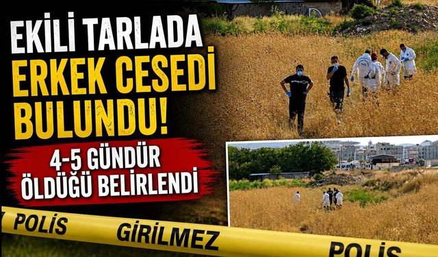 Ekili Tarlada Erkek Cesedi Bulundu! 4-5 Gündür Ölü Olduğu Belirlendi