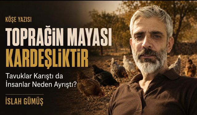 Toprağın Mayası Kardeşliktir: Tavuklar Karıştı da İnsanlar Neden Ayrıştı?