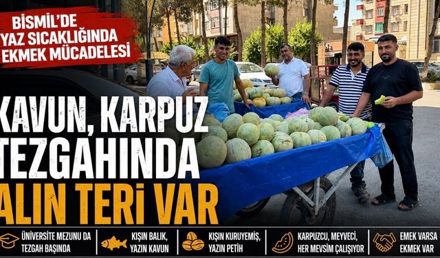 Bismil’de Yaz Sıcağında Ekmek Mücadelesi: Kışın Kuruyemiş, Yazın Kavun-Karpuz Satıyorlar