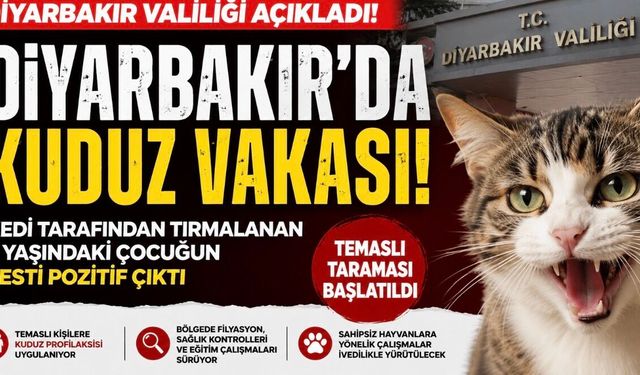 Diyarbakır’da kuduz vakası: Valilikten resmi açıklama