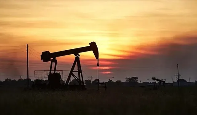 Bismil’de petrol için sondaj başladı: Gabar’ı 2-3’e katlayacak potansiyel