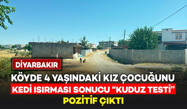 Köyde kedinin ısırdığı 4 yaşındaki kız çocuğunda "Kuduz" testi pozitif çıktı