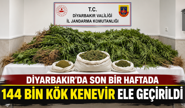 Diyarbakır’da son bir haftada 144 bin kök kenevir ele geçirildi