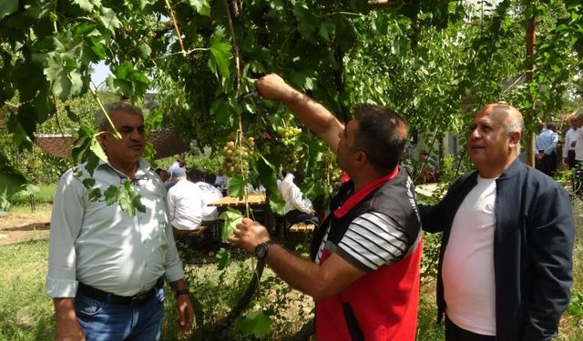 Mezrone Üzümünde Verimi Artıracak Seminer ve Yeni Kooperatif Müjdesi