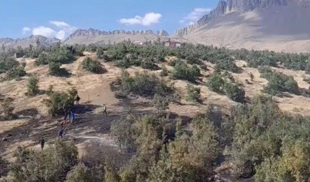Koyunoba’da orman yangınıyla mücadele