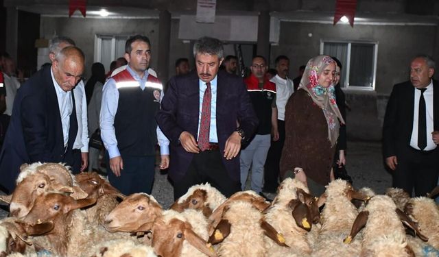 Cumhurbaşkanlığı Desteğiyle Kadın Çiftçiye Hayvancılık Desteği