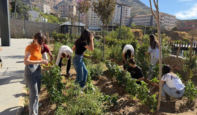 Kitap molasında hasat yaptılar: Öğrenciler sebzelerini topladı