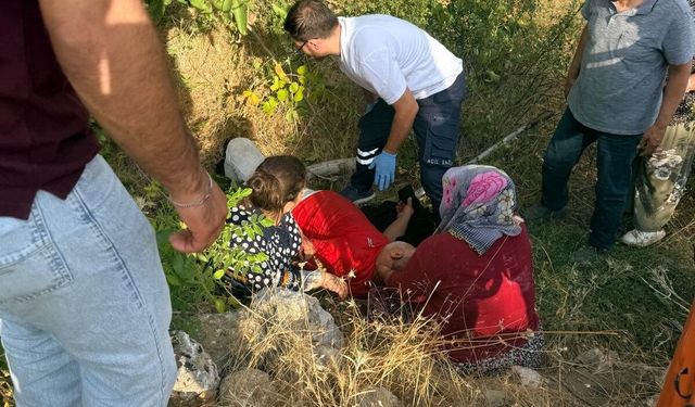 Gölbaşı’da ceviz toplarken ağaçtan düştü: 1 yaralı
