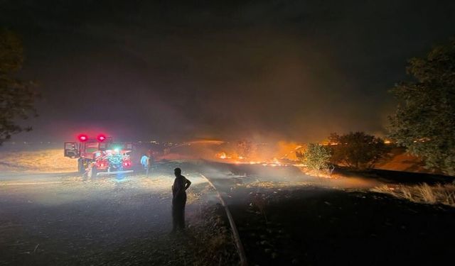 Orman yangınına müdahale için köylüler traktörlerle koştu