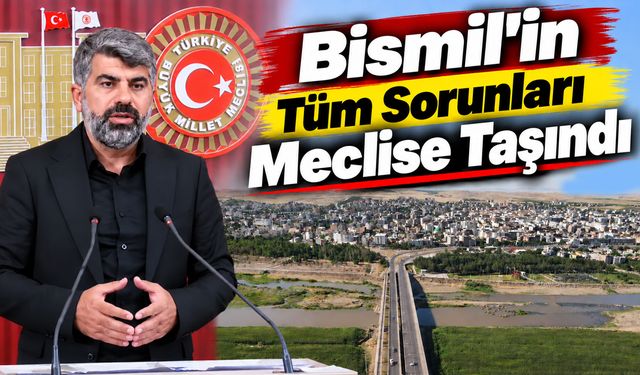 Bismil'in Tüm Sorunları Meclise Taşındı