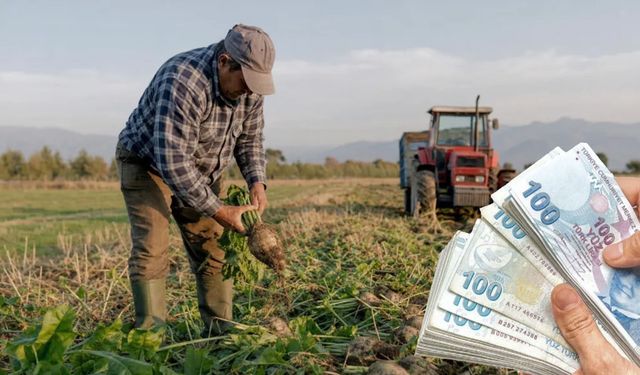 Çiftçilere 1 milyar 363 milyon TL destek ödemesi verilecek