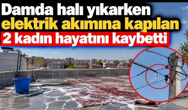Damda halı yıkarken elektrik akımına kapılan 2 kadın hayatını kaybetti