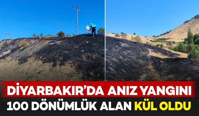 Diyarbakır’da anız yangını: 100 dönümlük alan kül oldu