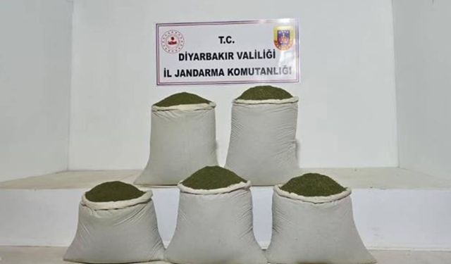 Diyarbakır’da uyuşturucu operasyonları: 14 bin kök kenevir ele geçirildi
